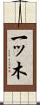 一ッ木 Scroll