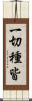 一切種皆 Scroll