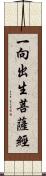 一向出生菩薩經 Scroll