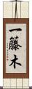 一籐木 Scroll
