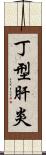 丁型肝炎 Scroll