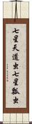 七星天道虫 Scroll