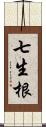 七生根 Scroll