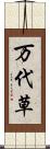 万代草 Scroll