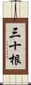 三十根 Scroll