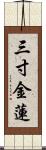 三寸金蓮 Scroll