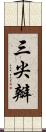 三尖瓣 Scroll