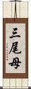 三尾母 Scroll