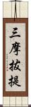 三摩拔提 Scroll