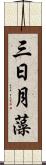 三日月藻 Scroll