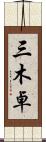 三木卓 Scroll