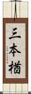 三本楢 Scroll