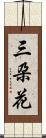 三朶花 Scroll