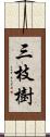 三枝樹 Scroll