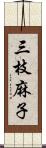 三枝麻子 Scroll