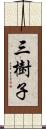 三樹子 Scroll