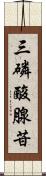 三磷酸腺苷 Scroll