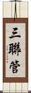 三聯管 Scroll