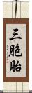 三胞胎 Scroll