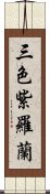 三色紫羅蘭 Scroll