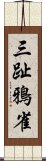 三趾鴉雀 Scroll