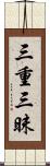 三重三昧 Scroll