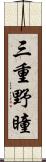 三重野瞳 Scroll