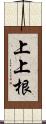 上上根 Scroll