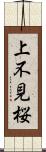 上不見桜 Scroll