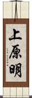 上原明 Scroll