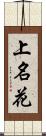 上名花 Scroll