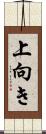 上向き Scroll