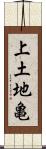上土地亀 Scroll