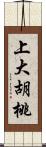 上大胡桃 Scroll