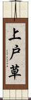 上戸草 Scroll