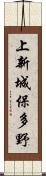 上新城保多野 Scroll
