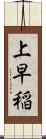 上早稲 Scroll