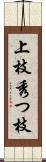 上枝 Scroll