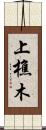 上樵木 Scroll