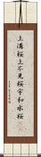 上溝桜 Scroll