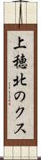 上穂北のクス Scroll