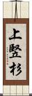 上竪杉 Scroll