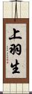 上羽生 Scroll