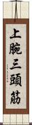 上腕三頭筋 Scroll