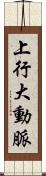 上行大動脈 Scroll