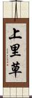 上里草 Scroll