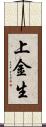 上金生 Scroll