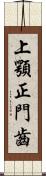 上顎正門齒 Scroll