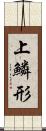 上鱗形 Scroll