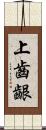 上齒齦 Scroll